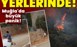 Muğla Datça’da orman yangını çıktı!